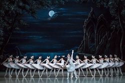Ballet russe « le Lac des Cygnes »