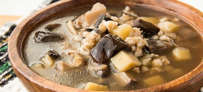 Gribnoï soup ou soupe russe aux champignons